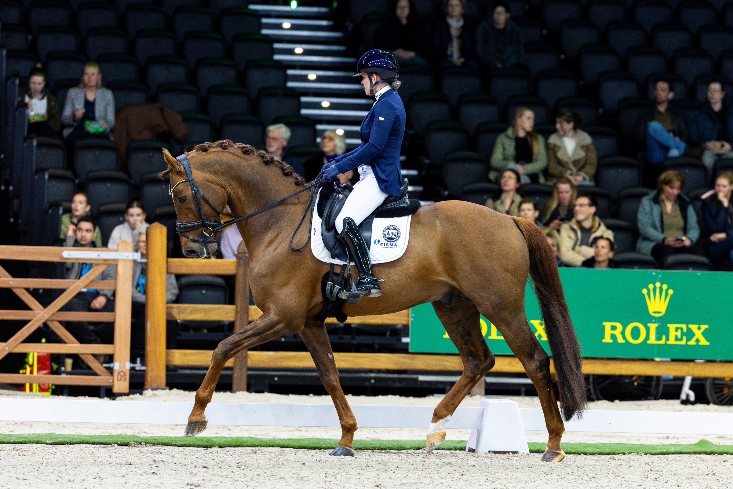 Rixt van der Horst schrijft finale KNHS Para Dressuur Trophy op naam