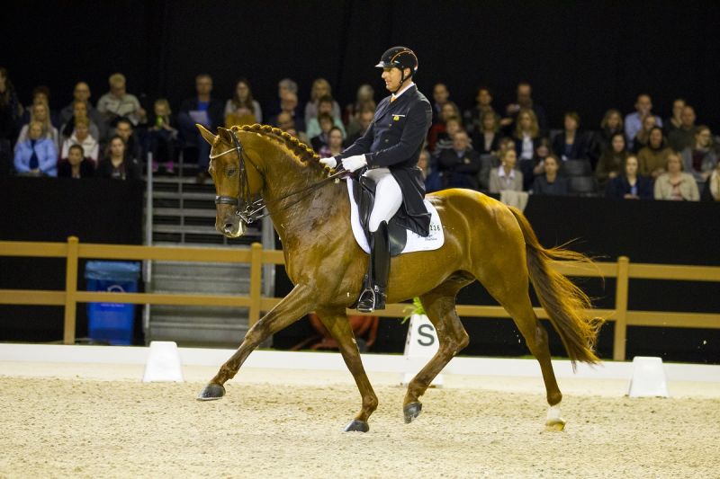 Round-up Peelhal vrijdag: dag voor dressuurliefhebbers