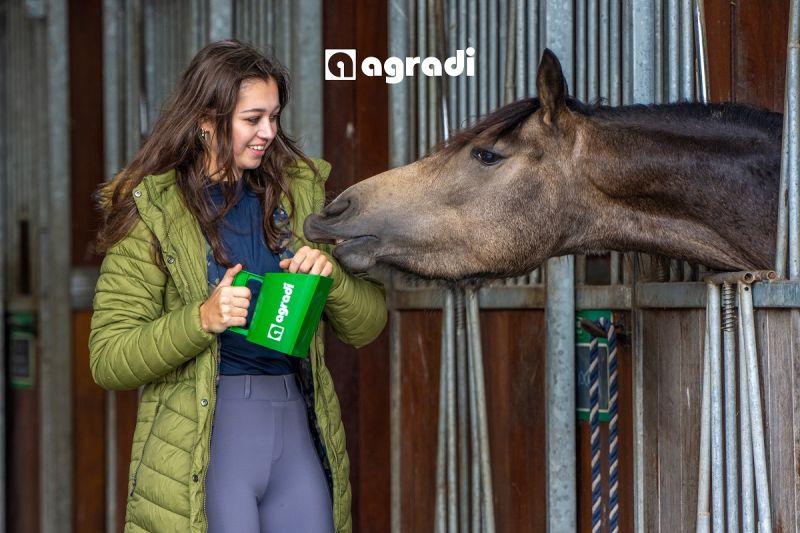 Agradi online partner The Dutch Masters