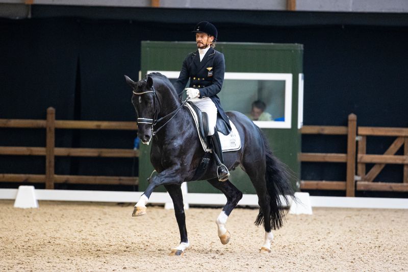 Dressuurruiters maken zich op voor topontmoeting