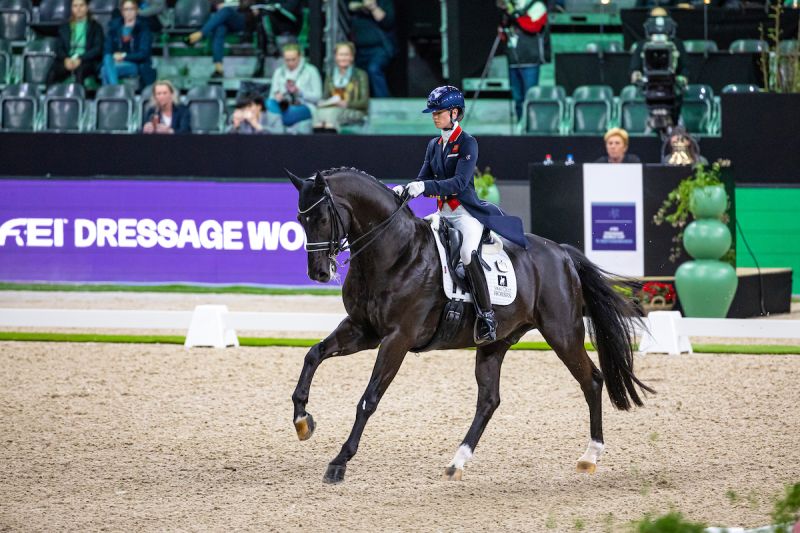 The Dutch Masters: Fry en Werth starten in wereldbeker dressuur